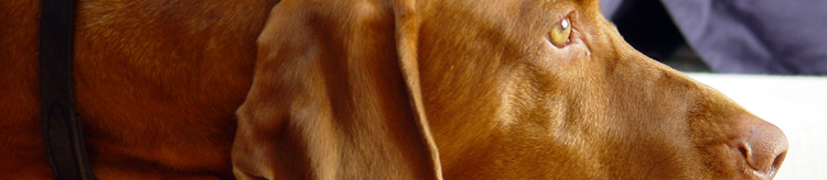 baxter315.jpg